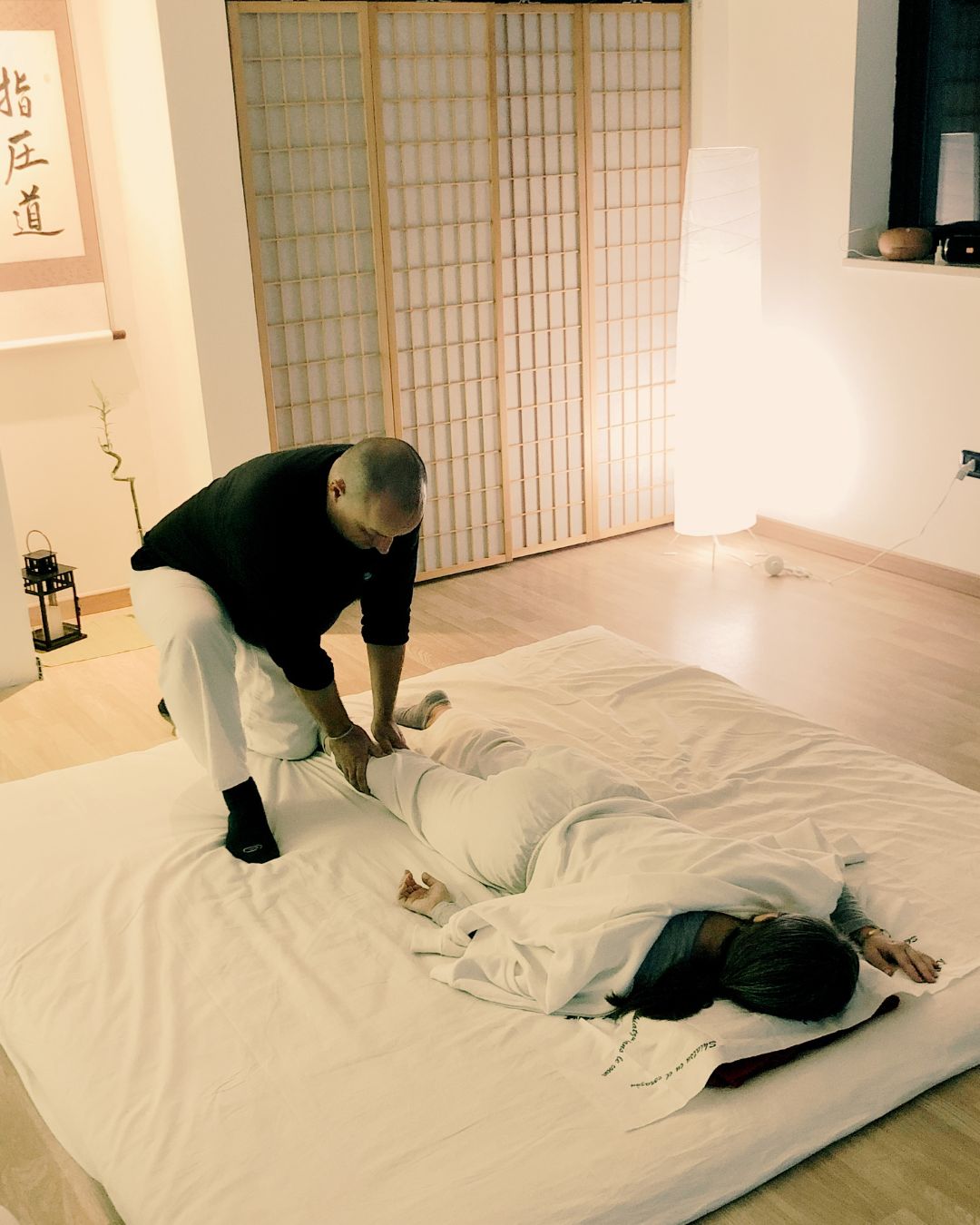 Aggiornamento professionale Shiatsu e formazione continua