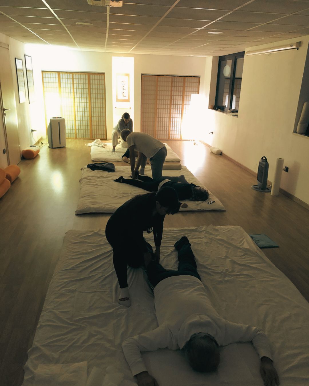 Percorso formativo Shiatsu AIDIBIO